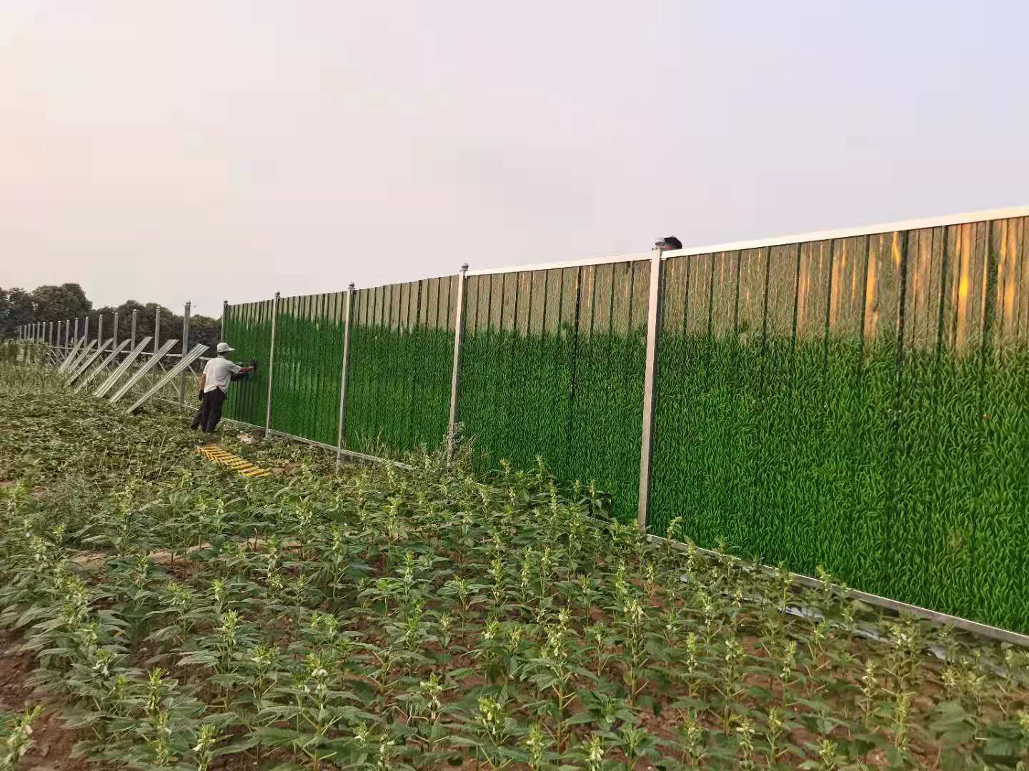 洛陽(yáng)市伊濱區(qū)伊東渠項(xiàng)目安裝彩鋼圍擋